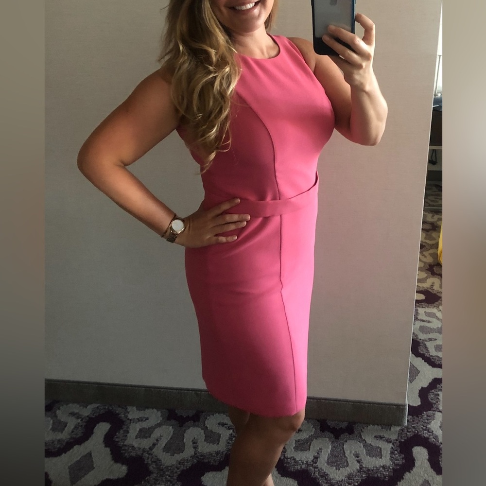BOSS by Hugo Boss Pink Dalanea Belted Sheath Dress | Size 12 Pre-owned/Like New